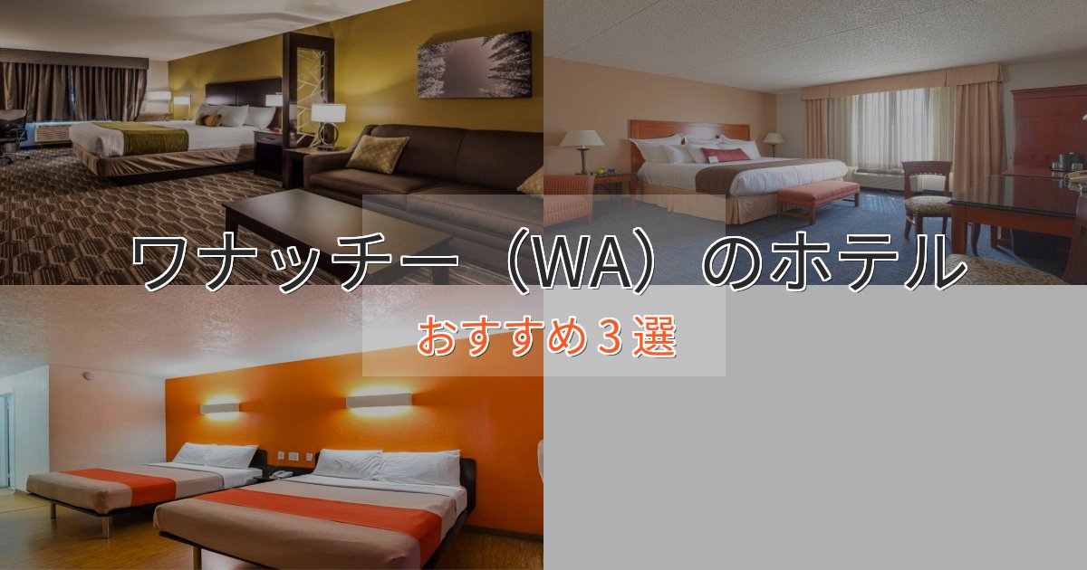 《今だけ特価》プレミアムワナッチー（WA）のおもてなしホテル3選【サービス重視】